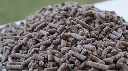 Organização holandesa apoiará pesquisas sobre conversão de biomassa