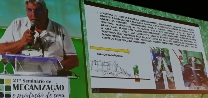 Norte-americanos colhem e plantam cana inteira em canteiros e não em sulcos