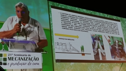 Norte-americanos colhem e plantam cana inteira em canteiros e não em sulcos