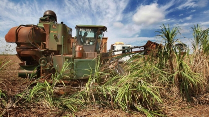 Crise segue, e 23% das usinas de etanol e açúcar estão paradas nesta safra