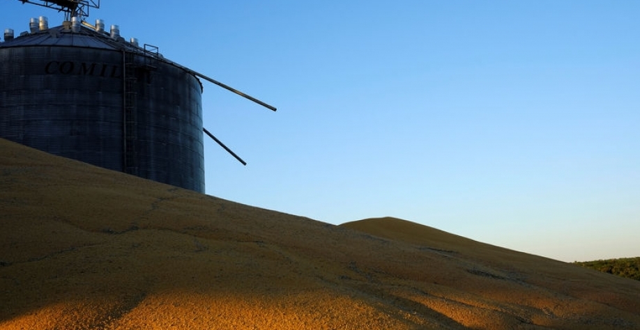 Pilhas de milho fora de silos já cheios do grão, perto de Sorriso, no Estado de Mato Grosso 26/07/2017 REUTERS/Nacho Doce