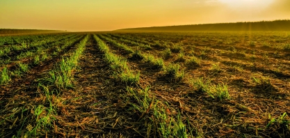 Yara apresenta soluções nutricionais e digitais para cana-de-açúcar, soja, citros e café na Agrishow 2019