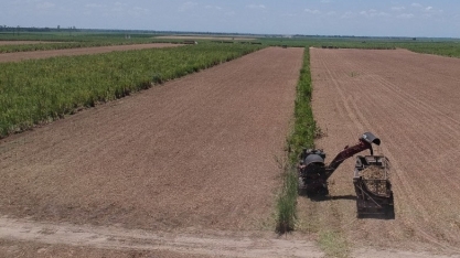 Asplana comemora recuperação da safra de cana em Alagoas