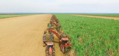 Investimento em tecnologia deve aumentar produção de cana-de-açúcar em MT sem ampliar área plantada 