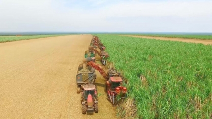 Investimento em tecnologia deve aumentar produção de cana-de-açúcar em MT sem ampliar área plantada 
