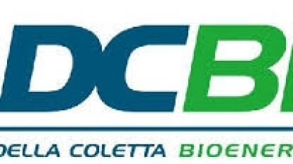 Della Coletta Bioenergia S/A - contrata:   Analista de Planejamento e Orçamento