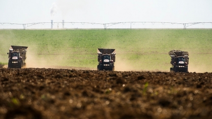 Confira explicação sobre taxas de desdobra de MPB e veja no também trabalho de um cobridor