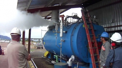 O setor sucroenergético se mantém como um grande empregador e gerador de renda