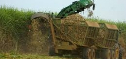 Preços do etanol disparam na usina por atrasos em colheita e forte demanda