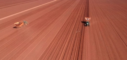 Plantio Mecanizado X Plantio Manual com e sem Meiosi será abordado em Fórum UDOP