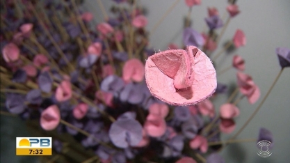 Artesãos usam bagaço de cana de açúcar e barro na confecção de peças