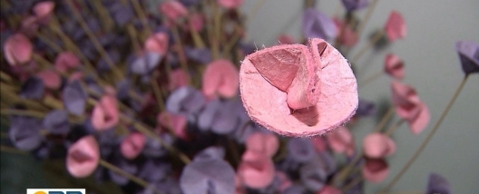 Artesãos usam bagaço de cana de açúcar e barro na confecção de peças