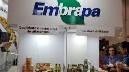 Lucro Social da Embrapa é de R$ 43,52 bilhões em 2018