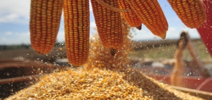 ´Novo imposto´ do agro vai gerar R$ 600 milhões aos cofres de MT 