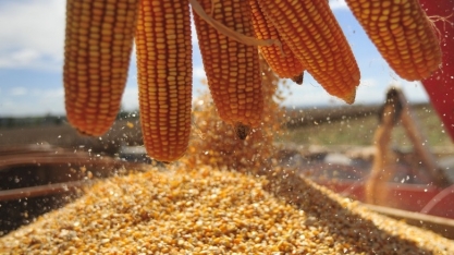 ´Novo imposto´ do agro vai gerar R$ 600 milhões aos cofres de MT 