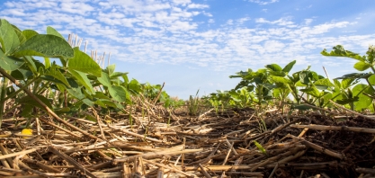 São Paulo foi o estado da região Centro-Sul que apresentou maior recuo na moagem de cana na safra 2018/2019