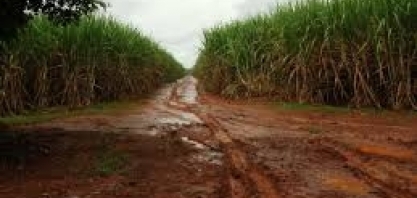 CS produz 26,5% menos açúcar em 2018/19; chuva atrapalha atividades em março