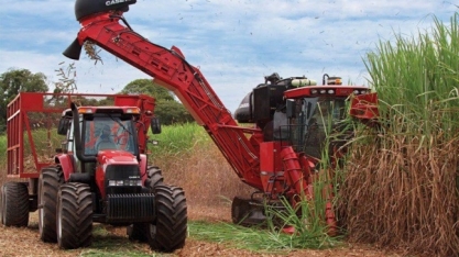 Moagem cai 9,62% na 2ª quinzena de março e recua 3,90% na safra 2018/2019