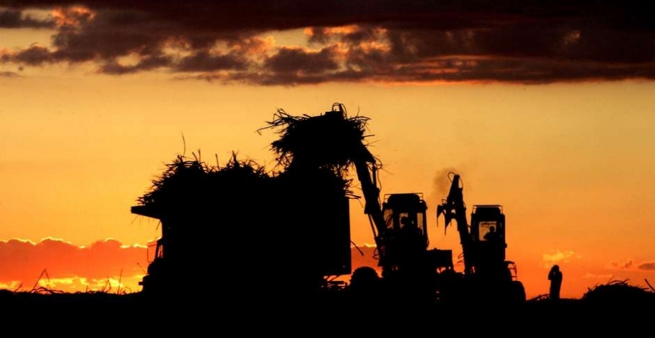 Colheita de cana-de-açúcar no Paraná 11/03/2006 REUTERS/Paulo Whitaker Foto: Reuters