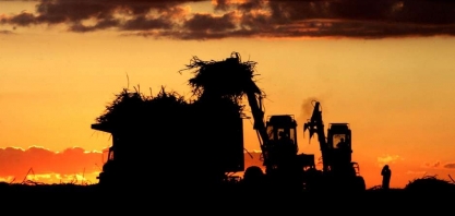 CS produz 52% menos açúcar no início da safra 19/20 por chuva e mix alcooleiro