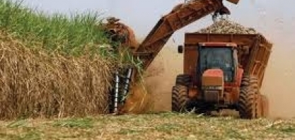 Boletim de monitoramento da cana | CTBE/CNPEM
