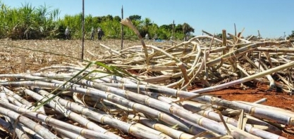 Pesquisa sobre desenvolvimento da 