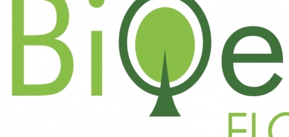 Projeto Bioeste apresenta resultados de pesquisas com eucaliptos para geração de energia