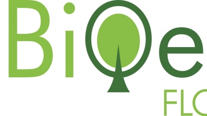 Projeto Bioeste apresenta resultados de pesquisas com eucaliptos para geração de energia