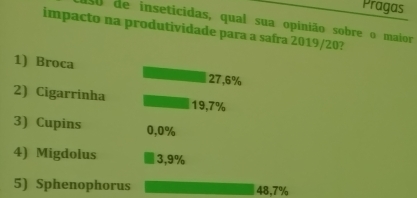 Sphenophorus levis atravessa o Rio Grande, saí de São Paulo e invade Minas Gerais e Goiás