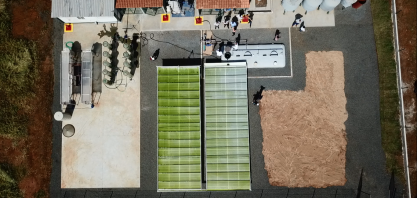 Algae e InterCement desenvolvem novo fertilizante biológico a partir de biomassa de microalgas