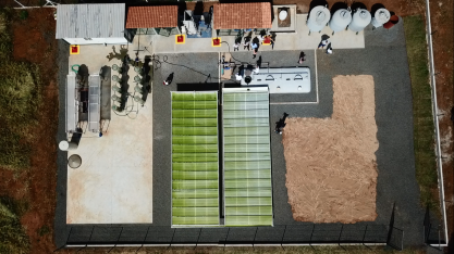 Algae e InterCement desenvolvem novo fertilizante biológico a partir de biomassa de microalgas