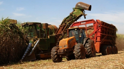 Minas deve moer mais de 65 milhões de toneladas de cana na safra 2019