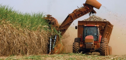 Archer Consulting estima produção de 572 mi de t de cana em 2019/20 no Centro-Sul