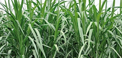 Transformações que melhoram a vida