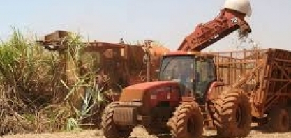 Tradings veem aumento na produção de açúcar do CS; queda na de etanol