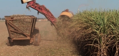 Mais de 83% da produção de cana do MT vai ser transformada em etanol