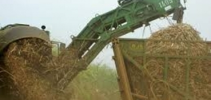 Com chuvas normais, JOB estima 570 mi/t cana, mais 2 de açúcar e 28.3 bi/l de etanol