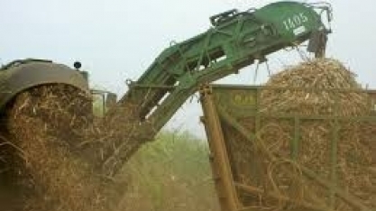 Com chuvas normais, JOB estima 570 mi/t cana, mais 2 de açúcar e 28.3 bi/l de etanol