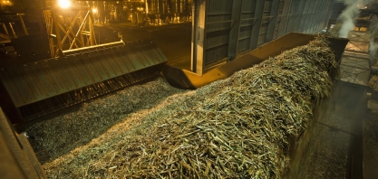 Até 15 de abril, 150 unidades sucroenergéticas haviam iniciado a safra 2019/20 no Centro-Sul