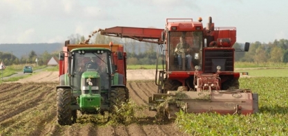 Tereos parcelará pagamentos a produtores de beterraba até o fim da temporada