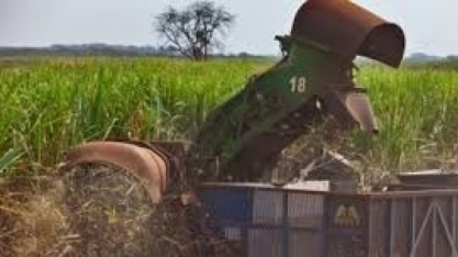 Alagoas/Sergipe: ATR líquido fecha em alta no mês de março 