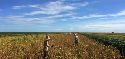 Em recuperação, Heringer propõe pagar 20% de dívidas e vender 7 unidades