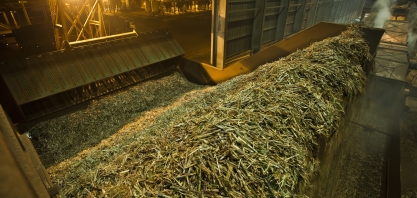 Até o final da primeira quinzena de abril, 176 unidades sucroenergéticas devem ter iniciado a safra 2019/20