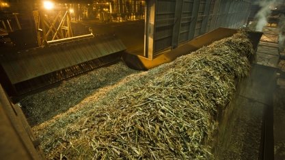 Até o final da primeira quinzena de abril, 176 unidades sucroenergéticas devem ter iniciado a safra 2019/20
