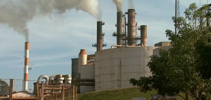 Etanol: produtividade é tema de reunião com Embrapa Agroenergia