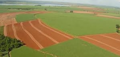 PIB do agronegócio paulista recua 5,73% em 2018