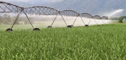 Grupo interministerial vai elaborar nova política nacional de irrigação