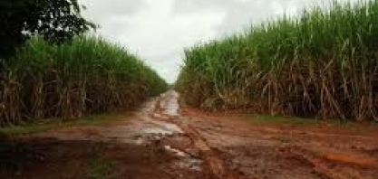 Preço do etanol continua disparada com chuvas limitando moagem