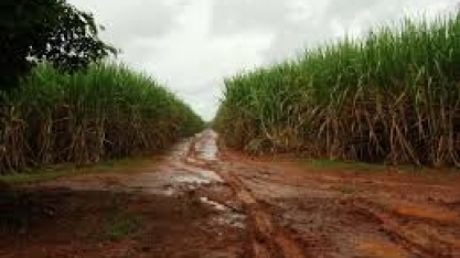 Preço do etanol continua disparada com chuvas limitando moagem