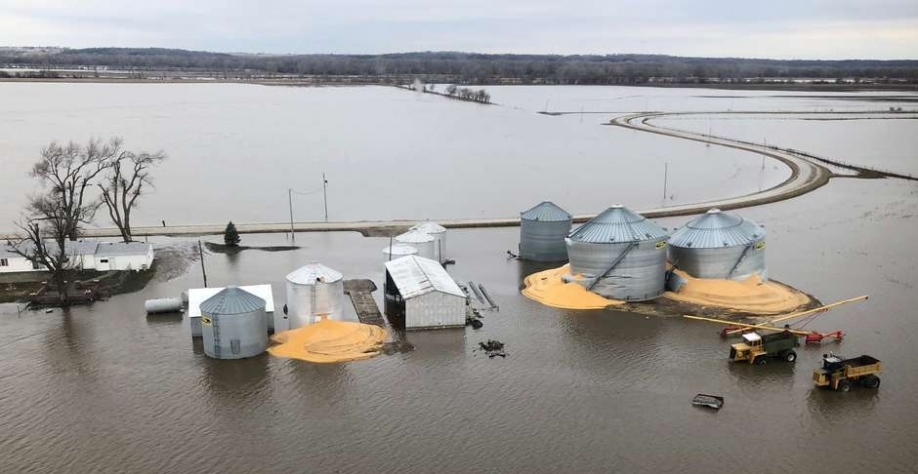 Silos de grãos no Condado de Fremont, Iowa. REUTERS/Tom Polansek. Foto: Reuters